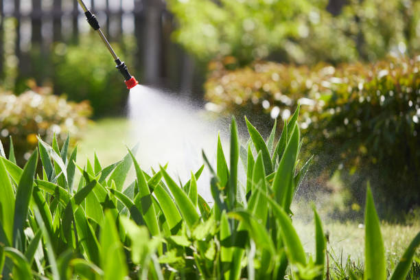 Tamper-Resistant Bait Stations for Rodents in St. Helen