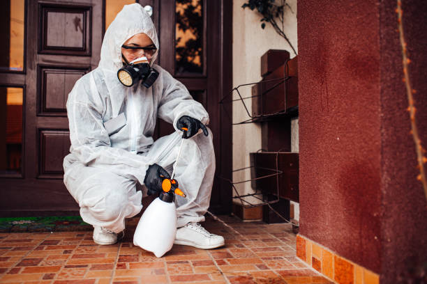 Attic and Crawl Space Rodent Treatment in St. Helen