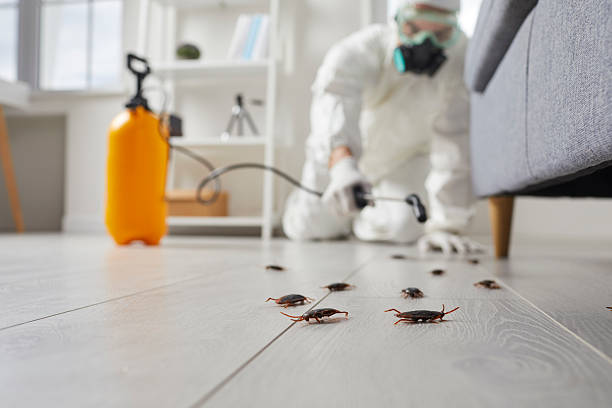 Commercial Rodent Management in St. Helen